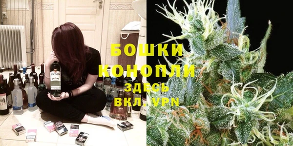 каннабис Богданович